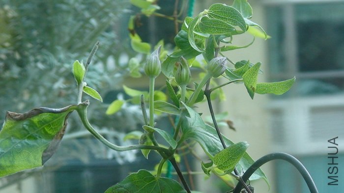 ����8-9����֮ǰ�Ķ������٣���ʱֻ��������������