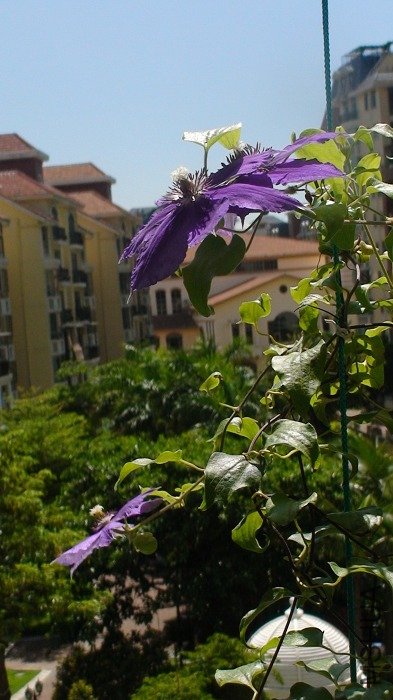 8-21�գ��ֿ������䣬������������˵���Ǹ�л�˵ģ�