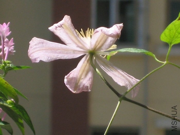 ����8-21�ջ���ʱ������,ֻʣ����һ��,�����Ķ��Ѿ�л��!