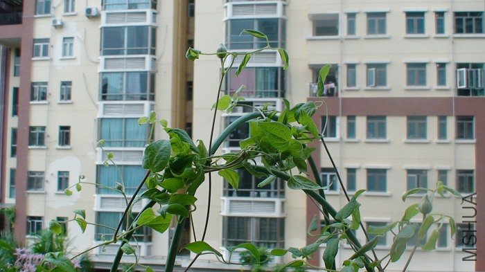 ����8-9����֮ǰ������, ����������������!