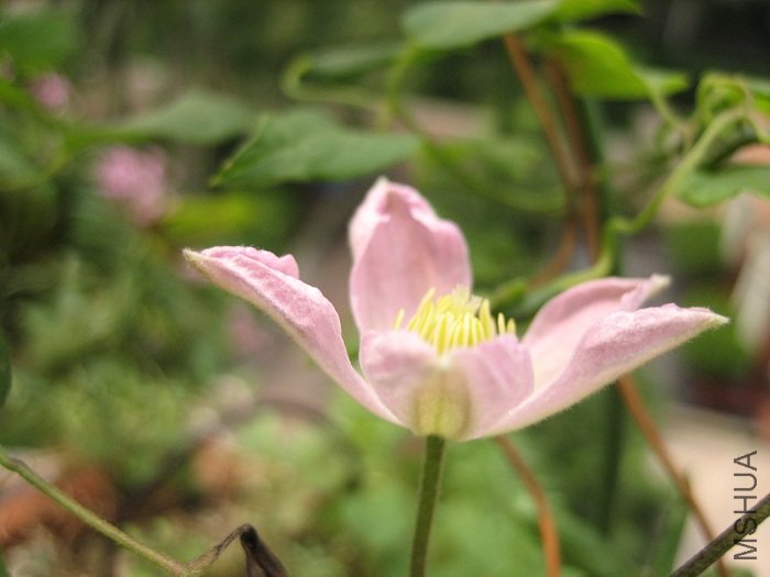 8-24��, ���¿���һ���������! ��С, ���ܾ���!