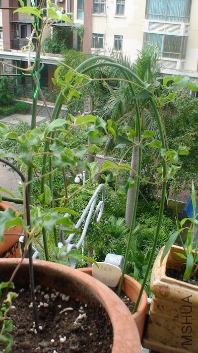 ����8-9�գ���ǰ�ĵģ��Ѿ����ñȽϸ��ˣ�����û������Ļ���ӣ�