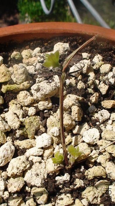 7-22�գ��ֹ������죬��ѿ����С����