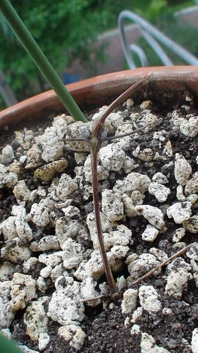 7-18�գ�ǿ����ĺ����շ�ѿ��