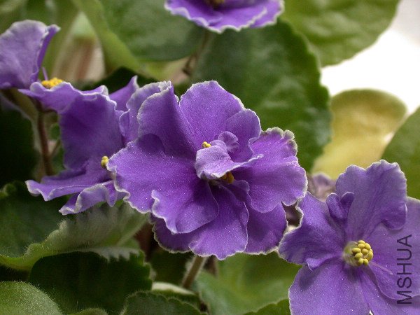 DSCN3962.jpg