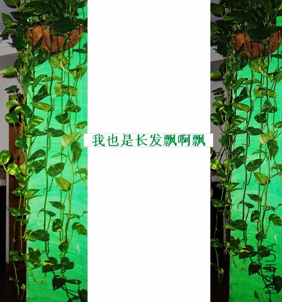 ��Ƭ09 50132.jpg