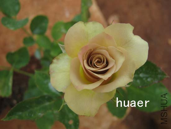 IMG_5771 ����.jpg