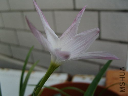 ��������쿪���Ƕ�,�����������