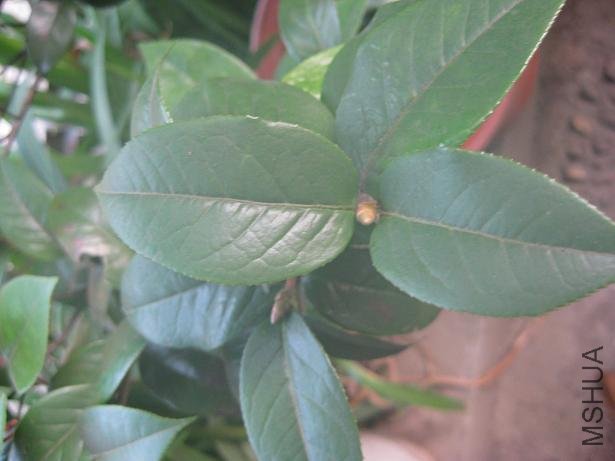 ���- - 002.jpg