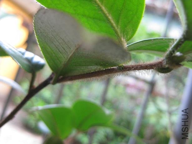 ���- - 004.jpg