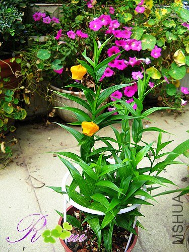 ���ưٺ� 15.jpg