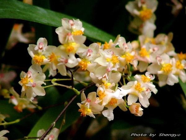 5 ������.jpg