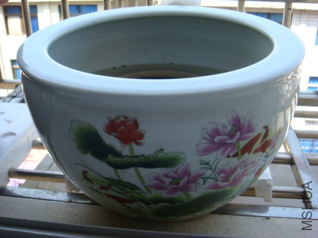 �ھ�32��20  .JPG