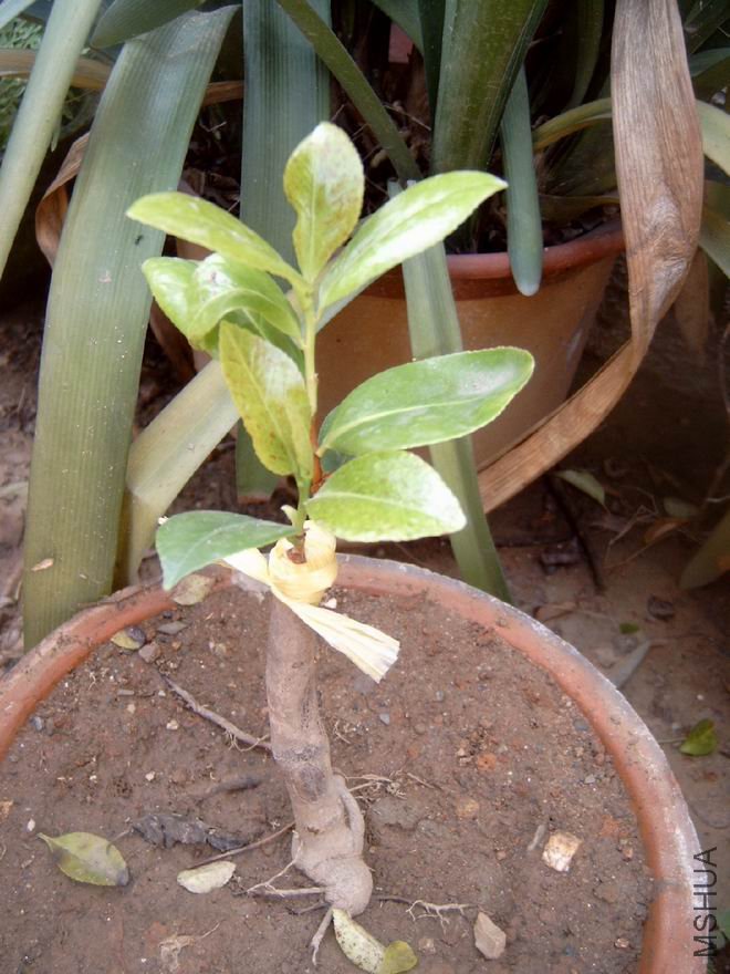 �����ͻ��ѵĸ���˿