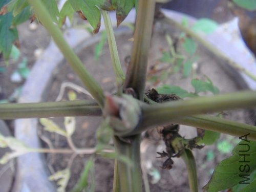 ����ǲ��ǻ�����?�ĺ���