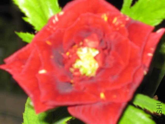 ������С ��Ƭ 004.jpg