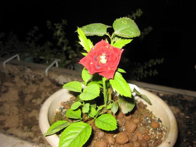 ������С ��Ƭ 001.jpg