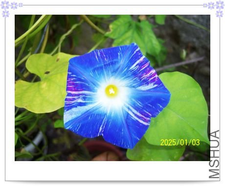 ���տ��� 001.jpg