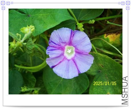 ���տ��� 011.jpg