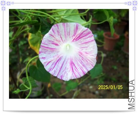 ���տ��� 015.jpg