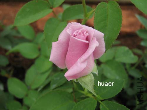 IMG_5846 ����.jpg