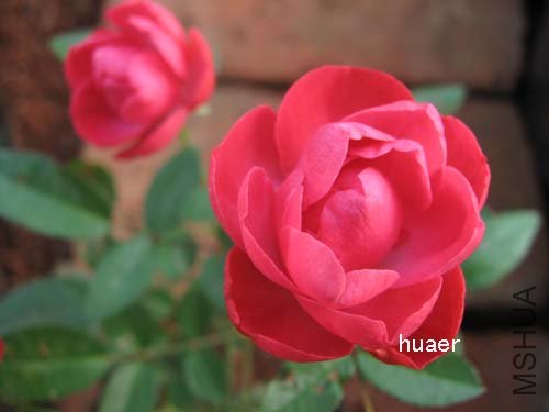 IMG_5798 ����.jpg