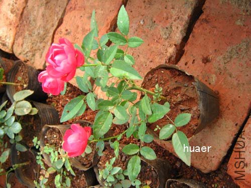 IMG_5797 ����.jpg