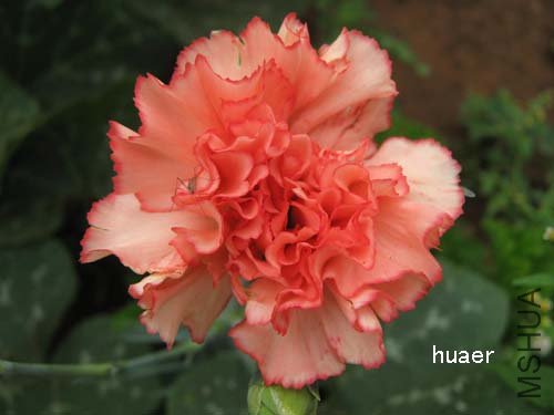 IMG_5842 ����.jpg