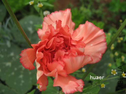 IMG_5843 ����.jpg