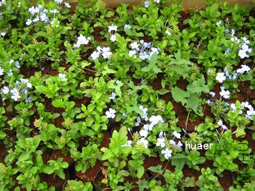 IMG_5853 ����.jpg