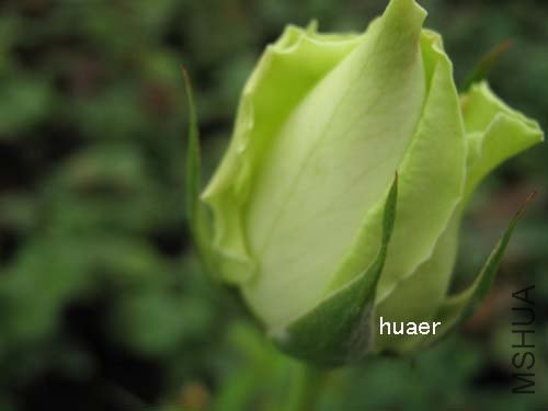 IMG_5879 ����.jpg