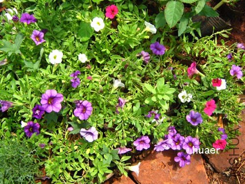 IMG_5948 ����.jpg