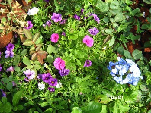 IMG_5949 ����.jpg