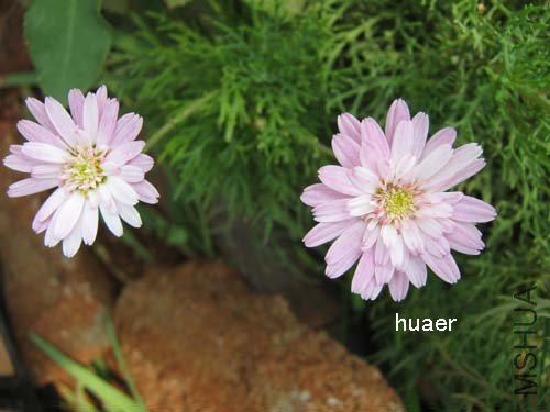 IMG_5941 ����.jpg