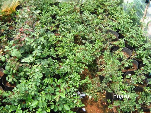 IMG_5957 ����.jpg