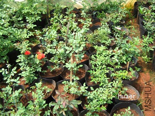 IMG_5958 ����.jpg