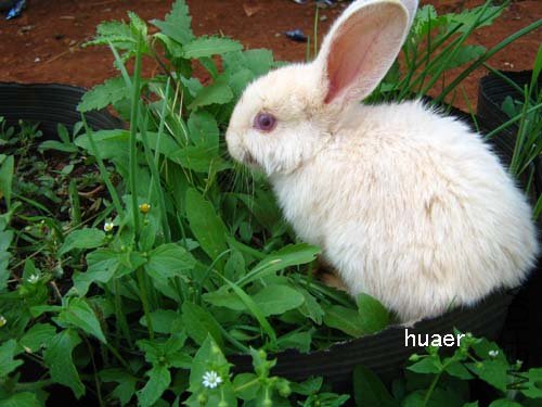 IMG_5967 ����.jpg