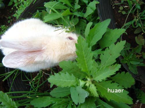 IMG_5969 ����.jpg