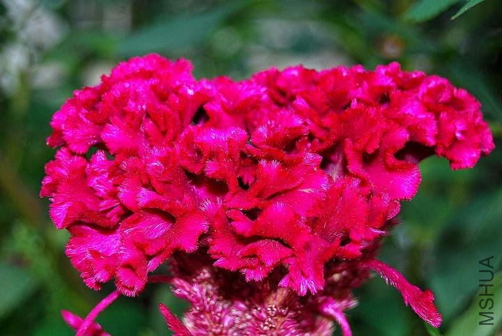 DSC_0593.JPG