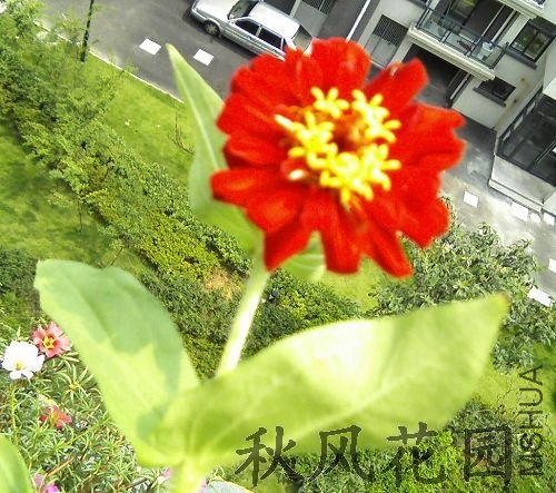 20090703133648.jpg