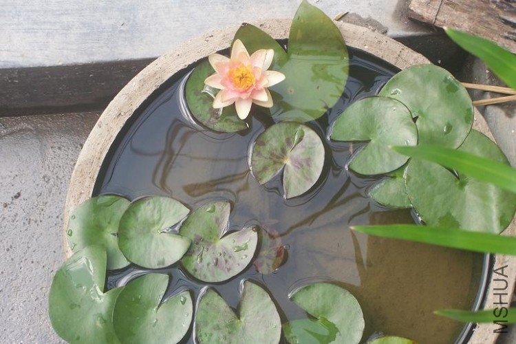 100_5683.JPG