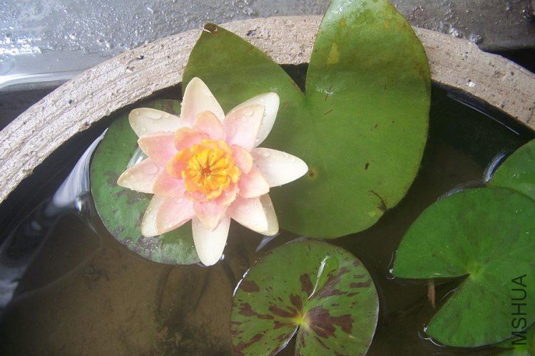 100_5649.JPG