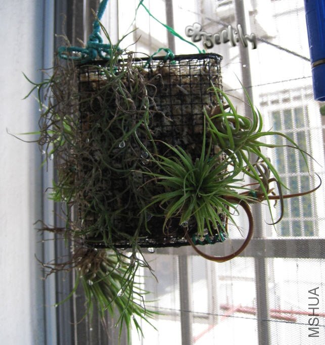 2009-09-15 �շ�ȫ�Ҹ�-do.jpg