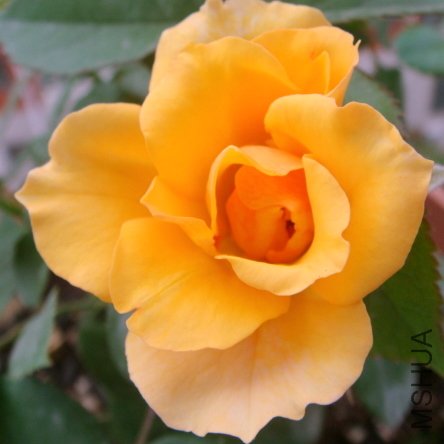 DSC00895-3.JPG