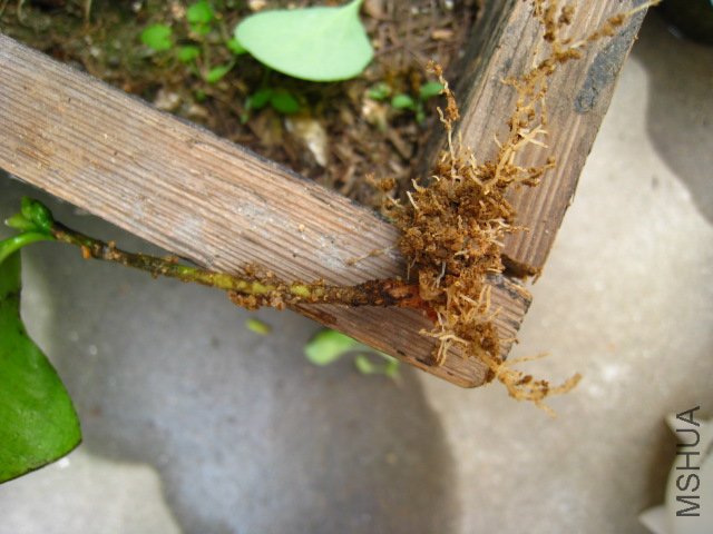 TX�ǿ��� �����Ļ����԰ɣ�