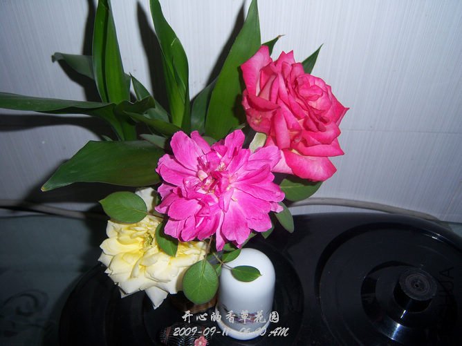 ��˫ϲ?    ĵ���¼� 101