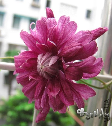 2009-09-18 ������-do.jpg