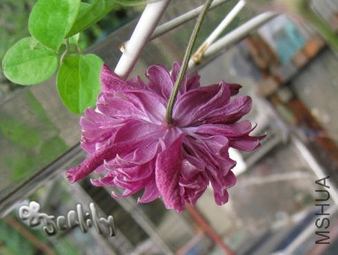 2009-09-18 ������1-do.jpg