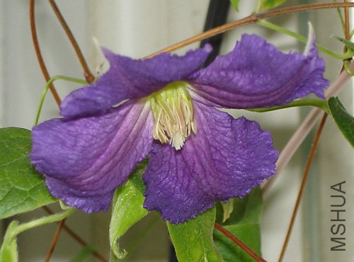 eDSC05699.jpg