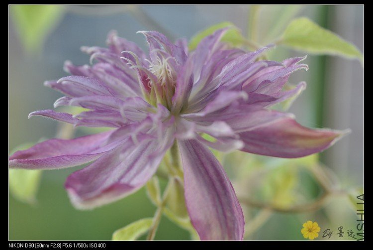 nEO_IMG_��Ƭ 002.jpg